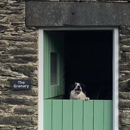 Dog Friendly Cottage, Geufron Farm Near Tywyn Bryn-crug Extérieur photo