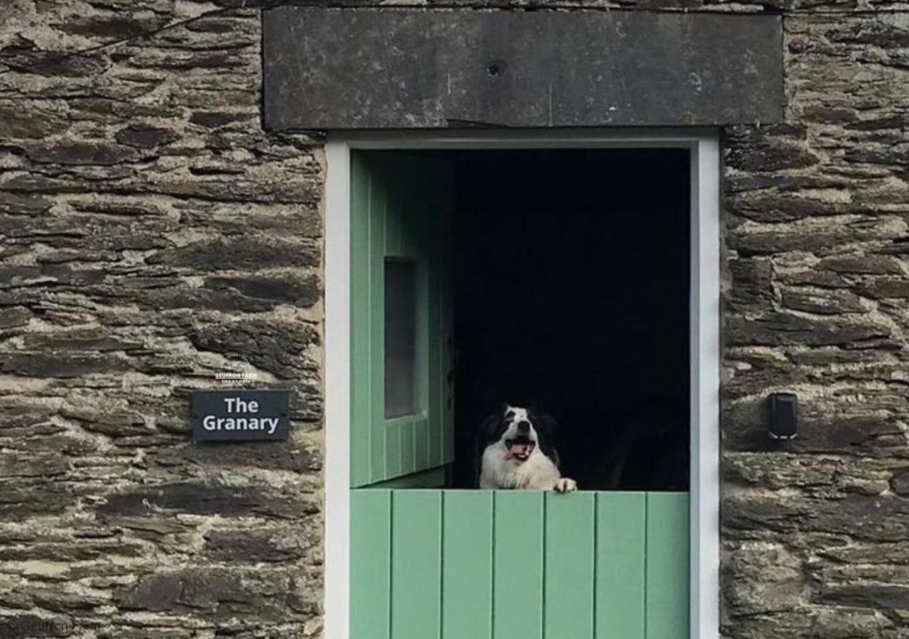 Dog Friendly Cottage, Geufron Farm Near Tywyn Bryn-crug Extérieur photo