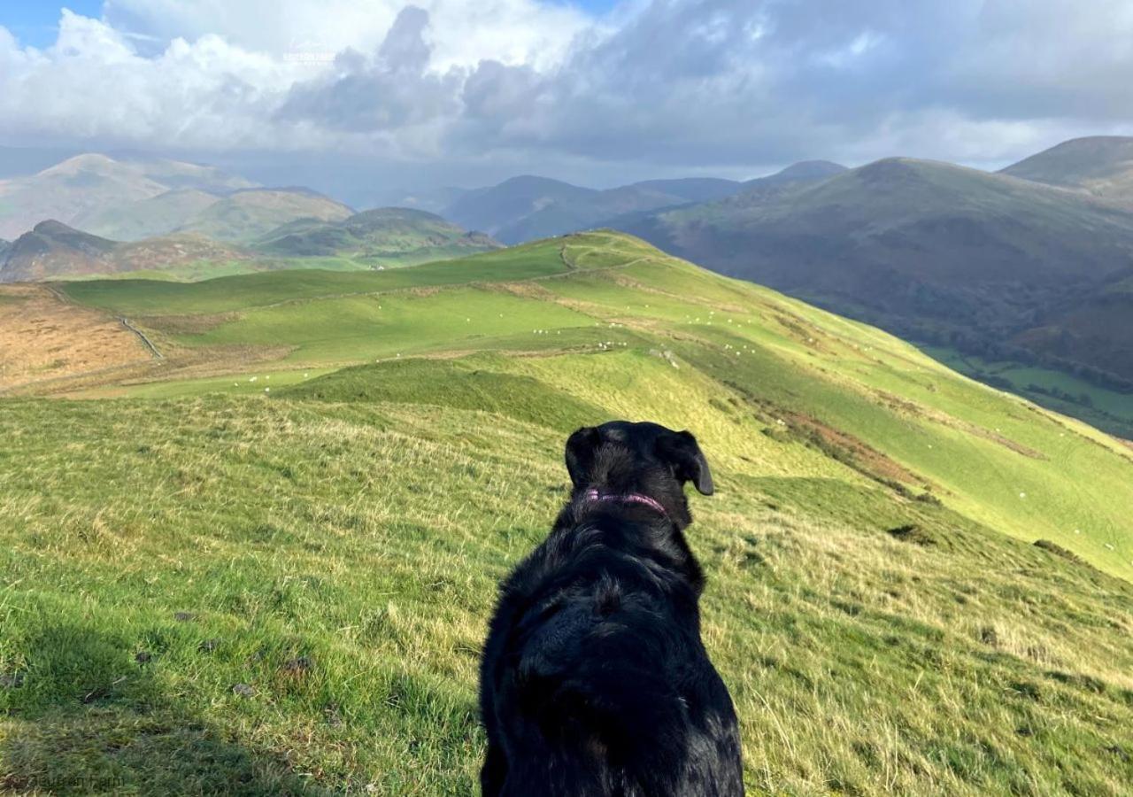 Dog Friendly Cottage, Geufron Farm Near Tywyn Bryn-crug Extérieur photo