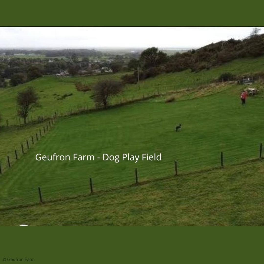 Dog Friendly Cottage, Geufron Farm Near Tywyn Bryn-crug Extérieur photo