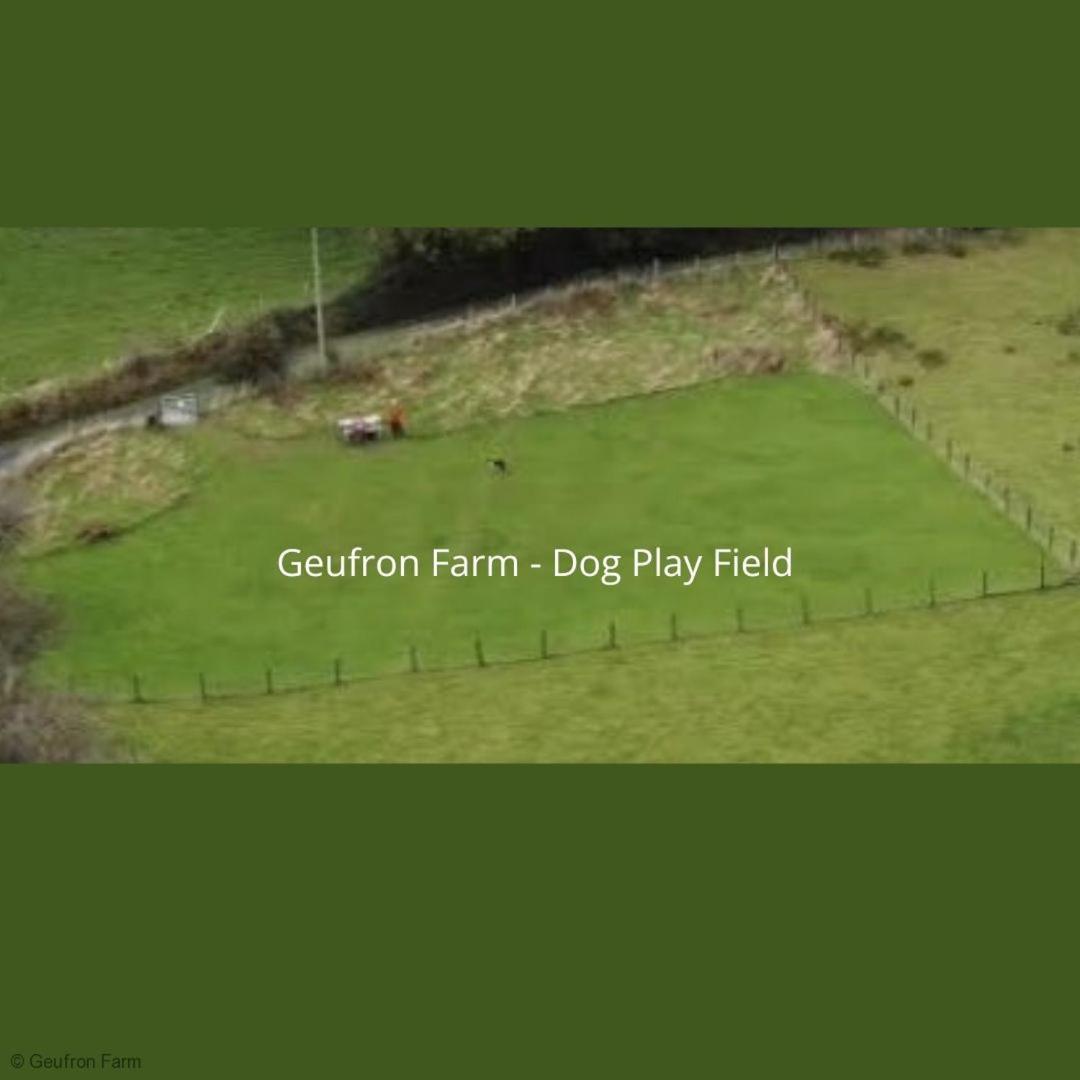Dog Friendly Cottage, Geufron Farm Near Tywyn Bryn-crug Extérieur photo