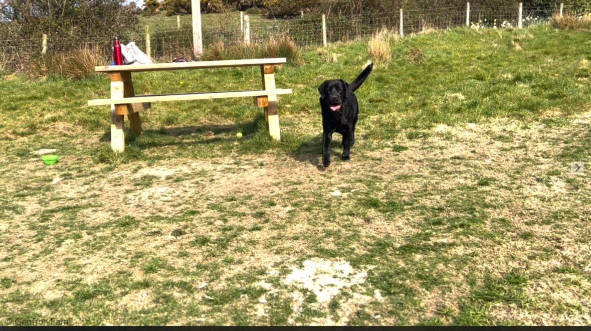 Dog Friendly Cottage, Geufron Farm Near Tywyn Bryn-crug Extérieur photo
